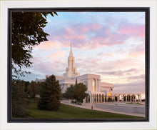 Load image into Gallery viewer, Bountiful Pastel Light
