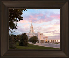 Load image into Gallery viewer, Bountiful Pastel Light
