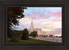 Load image into Gallery viewer, Bountiful Pastel Light
