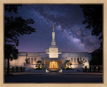 Load image into Gallery viewer, Columbia Celestial
