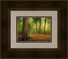 Load image into Gallery viewer, Oh How Lovely was the Morning
