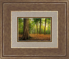 Load image into Gallery viewer, Oh How Lovely was the Morning
