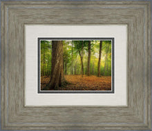 Load image into Gallery viewer, Oh How Lovely was the Morning
