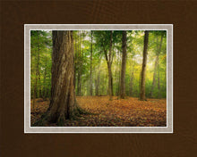 Load image into Gallery viewer, Oh How Lovely was the Morning
