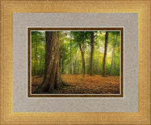 Load image into Gallery viewer, Oh How Lovely was the Morning

