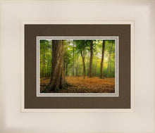 Load image into Gallery viewer, Oh How Lovely was the Morning

