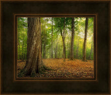Load image into Gallery viewer, Oh How Lovely was the Morning
