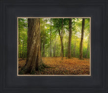 Load image into Gallery viewer, Oh How Lovely was the Morning
