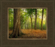 Load image into Gallery viewer, Oh How Lovely was the Morning
