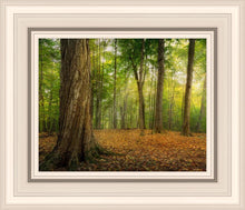 Load image into Gallery viewer, Oh How Lovely was the Morning
