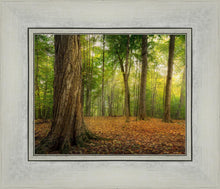 Load image into Gallery viewer, Oh How Lovely was the Morning

