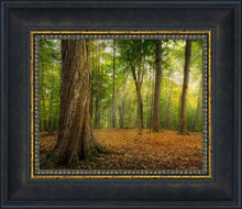 Load image into Gallery viewer, Oh How Lovely was the Morning
