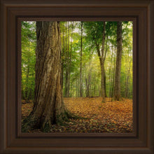 Load image into Gallery viewer, Oh How Lovely was the Morning
