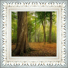 Load image into Gallery viewer, Oh How Lovely was the Morning
