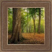 Load image into Gallery viewer, Oh How Lovely was the Morning
