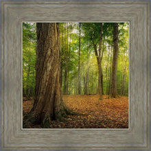 Load image into Gallery viewer, Oh How Lovely was the Morning
