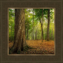 Load image into Gallery viewer, Oh How Lovely was the Morning
