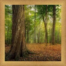 Load image into Gallery viewer, Oh How Lovely was the Morning
