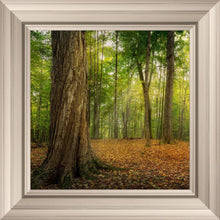 Load image into Gallery viewer, Oh How Lovely was the Morning
