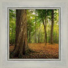 Load image into Gallery viewer, Oh How Lovely was the Morning
