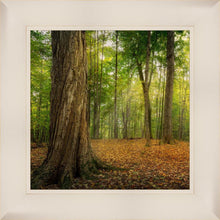 Load image into Gallery viewer, Oh How Lovely was the Morning
