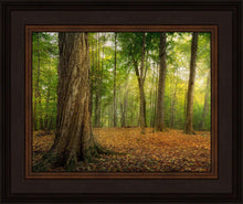 Load image into Gallery viewer, Oh How Lovely was the Morning
