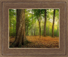 Load image into Gallery viewer, Oh How Lovely was the Morning
