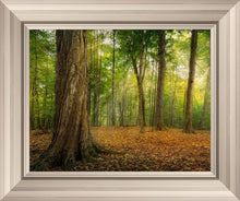 Load image into Gallery viewer, Oh How Lovely was the Morning
