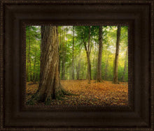 Load image into Gallery viewer, Oh How Lovely was the Morning
