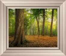 Load image into Gallery viewer, Oh How Lovely was the Morning
