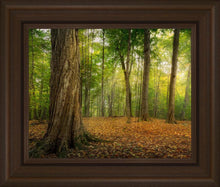 Load image into Gallery viewer, Oh How Lovely was the Morning
