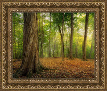 Load image into Gallery viewer, Oh How Lovely was the Morning
