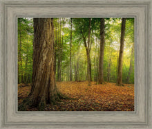 Load image into Gallery viewer, Oh How Lovely was the Morning
