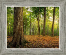 Load image into Gallery viewer, Oh How Lovely was the Morning
