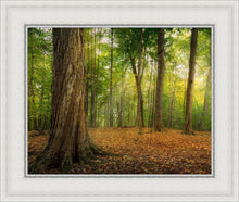 Load image into Gallery viewer, Oh How Lovely was the Morning
