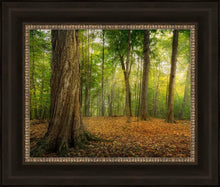 Load image into Gallery viewer, Oh How Lovely was the Morning
