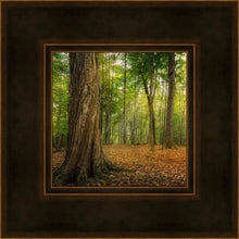 Load image into Gallery viewer, Oh How Lovely was the Morning
