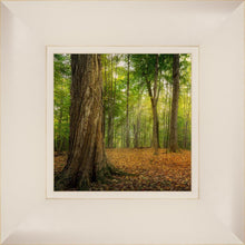 Load image into Gallery viewer, Oh How Lovely was the Morning
