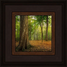 Load image into Gallery viewer, Oh How Lovely was the Morning
