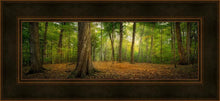 Load image into Gallery viewer, Oh How Lovely was the Morning
