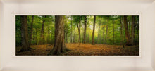 Load image into Gallery viewer, Oh How Lovely was the Morning
