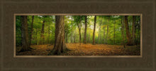 Load image into Gallery viewer, Oh How Lovely was the Morning
