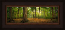 Load image into Gallery viewer, Oh How Lovely was the Morning
