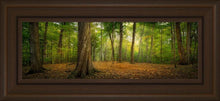 Load image into Gallery viewer, Oh How Lovely was the Morning
