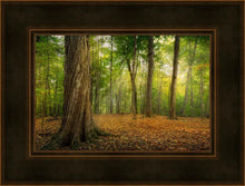 Load image into Gallery viewer, Oh How Lovely was the Morning
