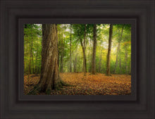 Load image into Gallery viewer, Oh How Lovely was the Morning

