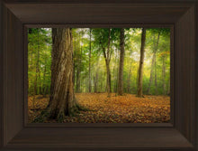 Load image into Gallery viewer, Oh How Lovely was the Morning
