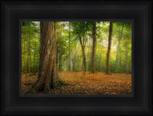 Load image into Gallery viewer, Oh How Lovely was the Morning
