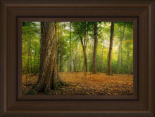 Load image into Gallery viewer, Oh How Lovely was the Morning
