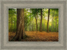 Load image into Gallery viewer, Oh How Lovely was the Morning
